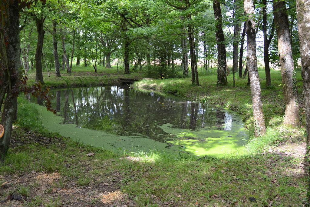 Gite De La Ronceraie Chaumont-sur-Loire Eksteriør billede